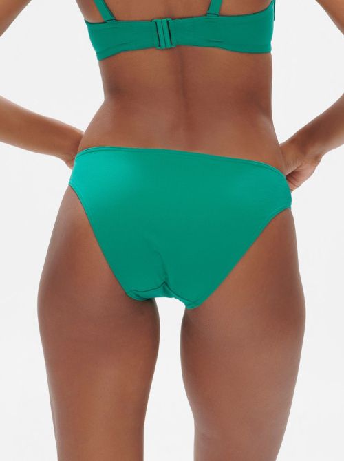 Palmeraie bikini briefs, green