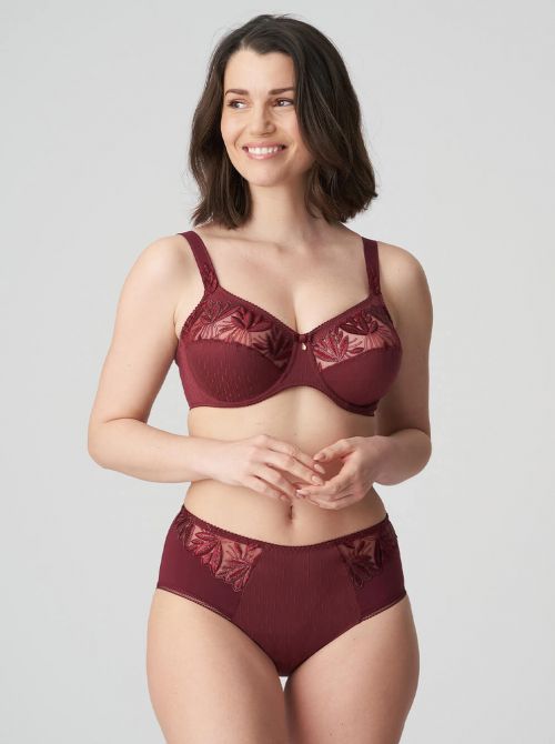 Orlando High-waisted briefs, deep cherry