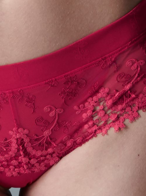 Wish Shorty lace brief , ruby pink