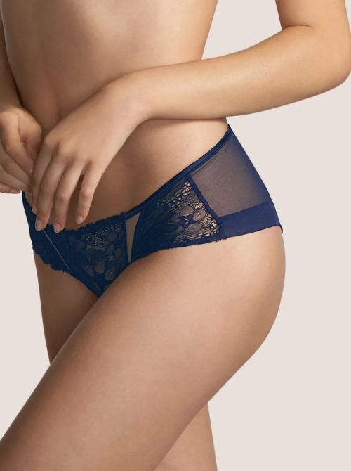 Tyng brasiliana, blu ANDRES SARDA