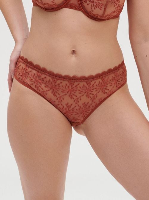 Singuliere briefs, brown SIMONE PERELE