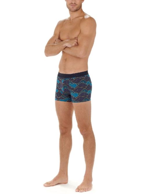LINO boxer in modal