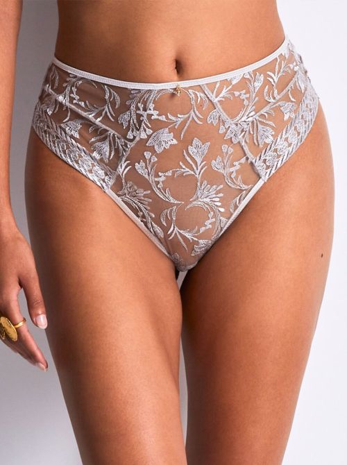 Magnetic Spell briefs, argent