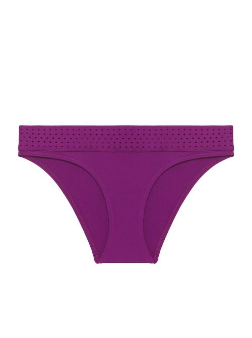 Hoya bikini briefs, violet