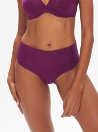 Hoya slip a vita alta per bikini, mora
