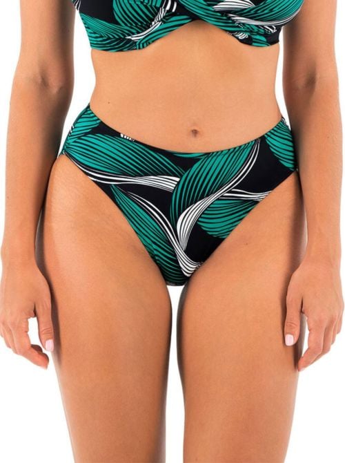 Saint Lucia bikini briefs