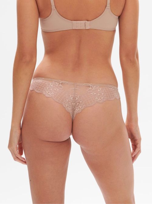 Reve brasiliana, beige