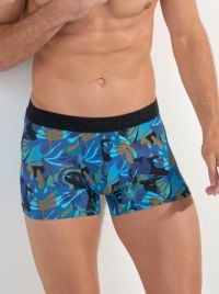 JAVA boxer