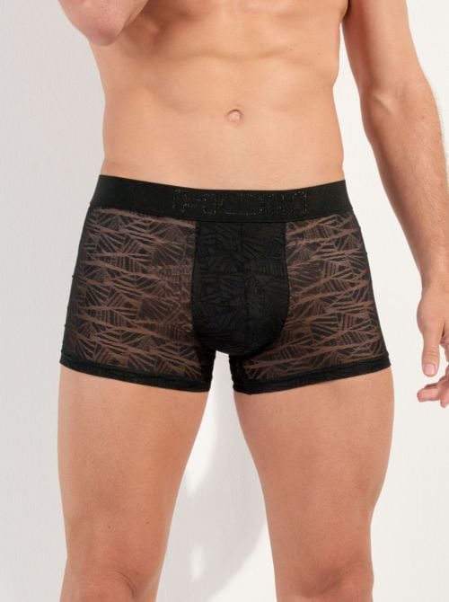 ARI Boxer in pizzo HOM