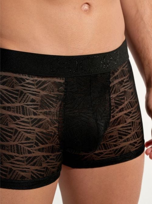 ARI Boxer in pizzo HOM