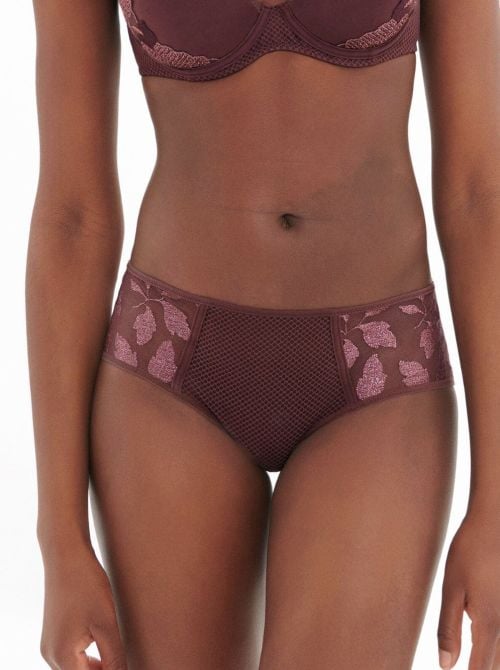 Dahlia Shorty, byzantine