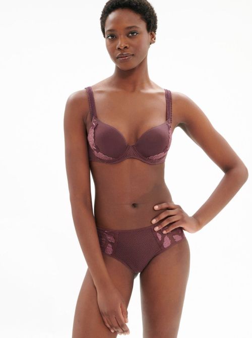 Dahlia Shorty, byzantine