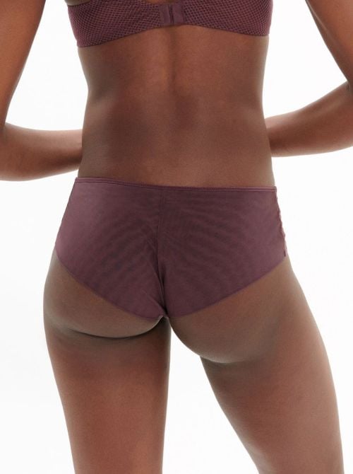 Dahlia Shorty, byzantine