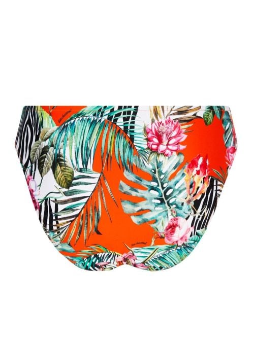 &Eacute;chapp&eacute;e Libre bikini charme  briefs