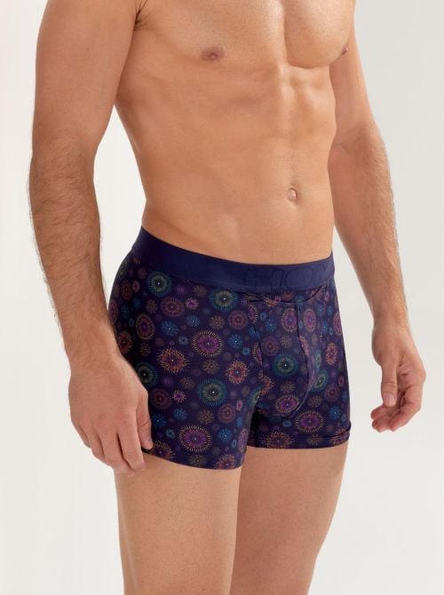 Spectra Boxer H01 HOM