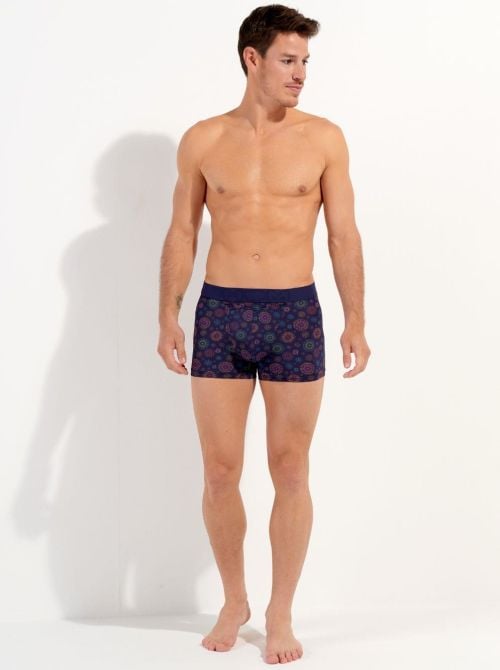 Spectra Boxer H01 HOM