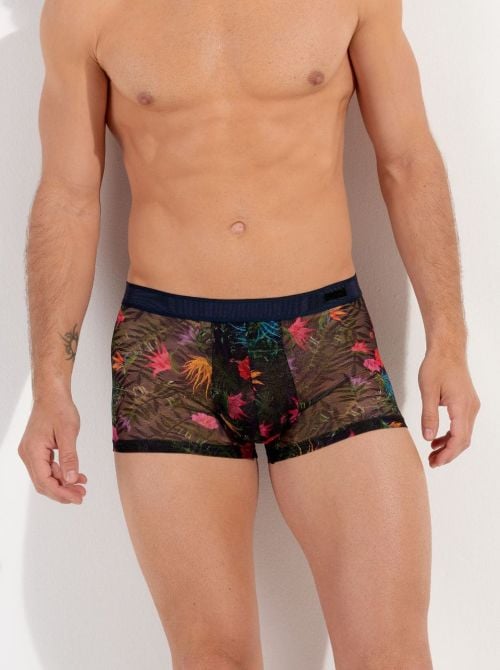 Exotica Boxer HOM
