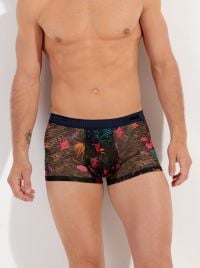 Exotica Boxer