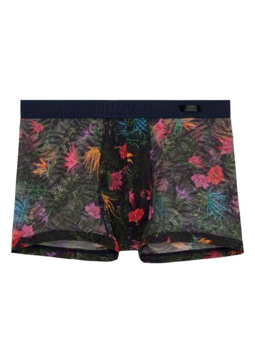 Exotica Boxer