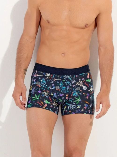 Cactée Boxer HOM