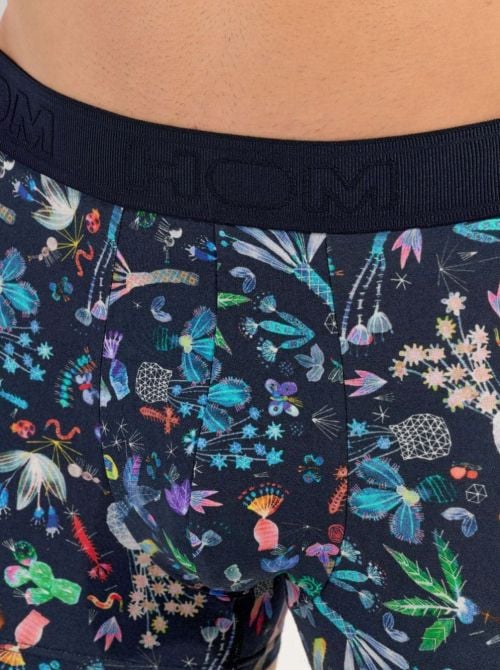 Cactée Boxer HOM