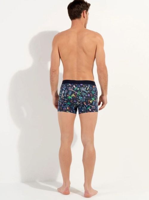 Cact&eacute;e Boxer