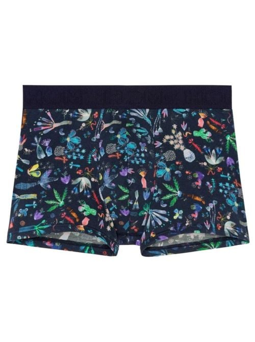 Cact&eacute;e Boxer