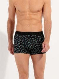 Dizzy Boxer H01