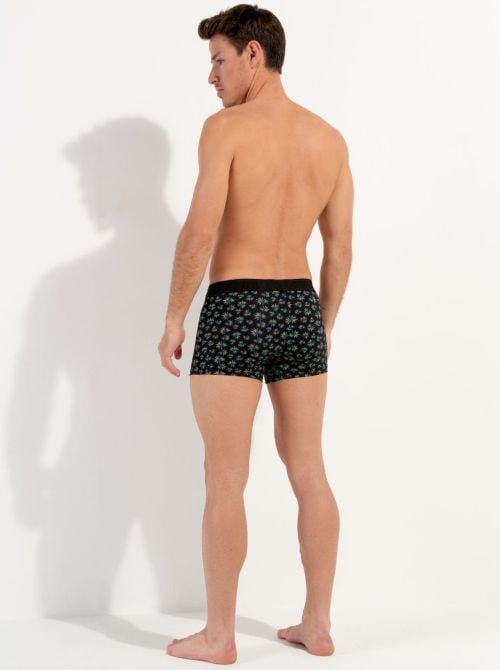 Dizzy Boxer H01