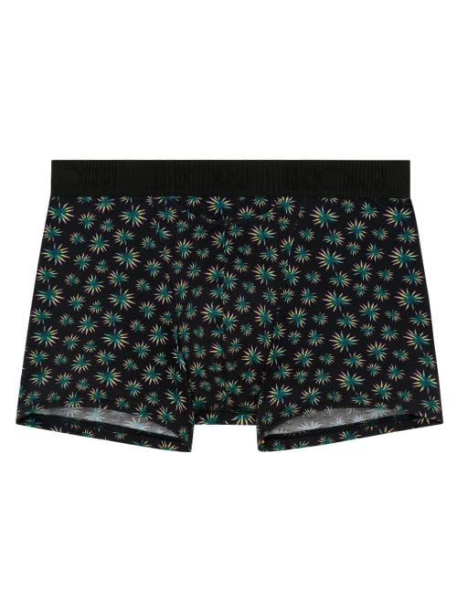 Dizzy Boxer H01