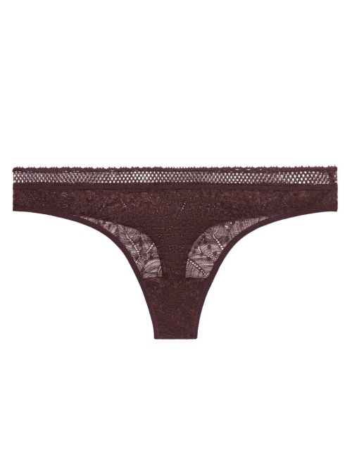 Comete Brazilian, dark brown