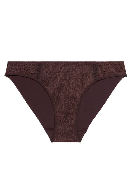 Comete Slip, vinaccia