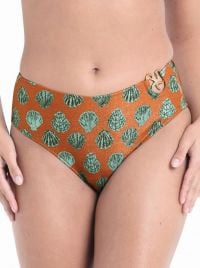 Mera slip per bikini, ruggine