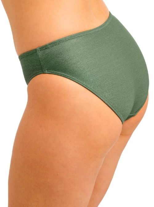 Arizona Wave bikini bottom, fern