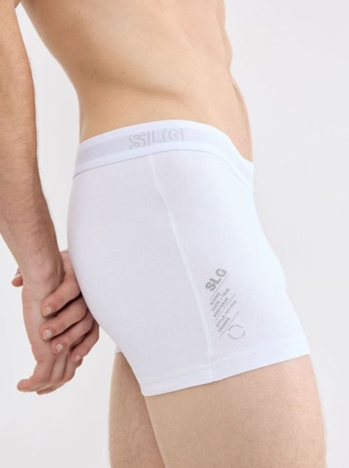 SLG Base Trunks 2 Boxer Uomo in Cotone Bio, banco SLOGGI
