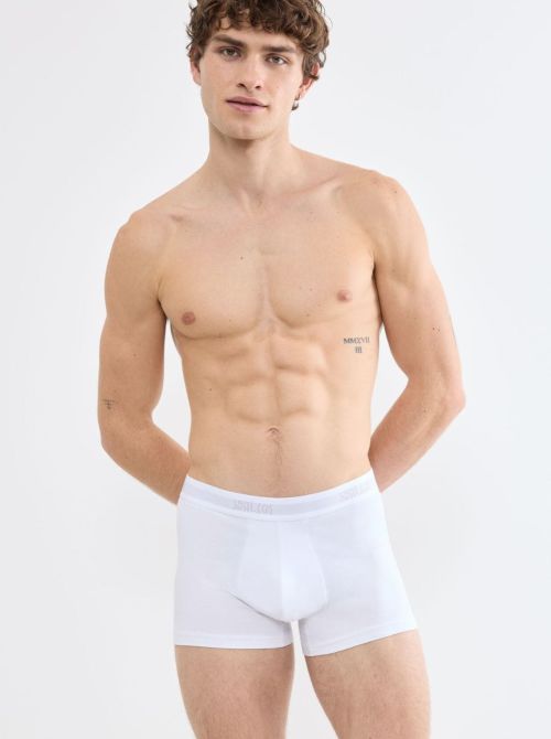 SLG Base Trunks 2 Boxer Uomo in Cotone Bio, banco