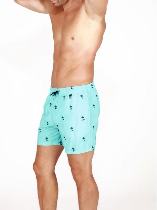 Atoll beach shorts HOM