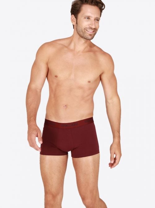 Boxerlines 3 Boxer, multicolor HOM