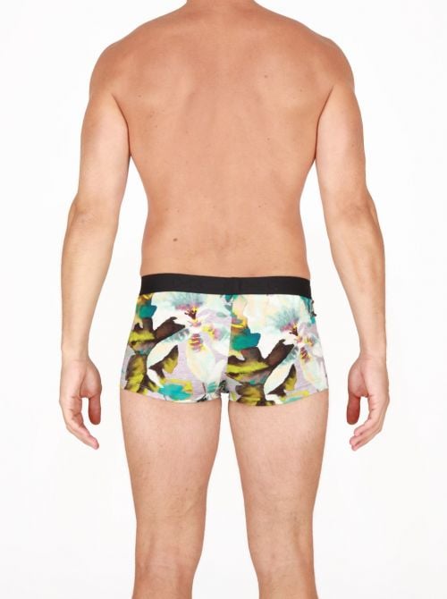 Boxer Savannah