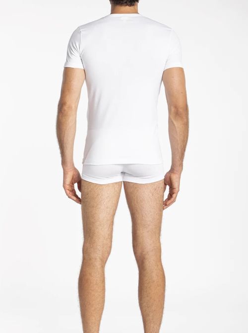 Iseppi T-Shirt short sleeve, white