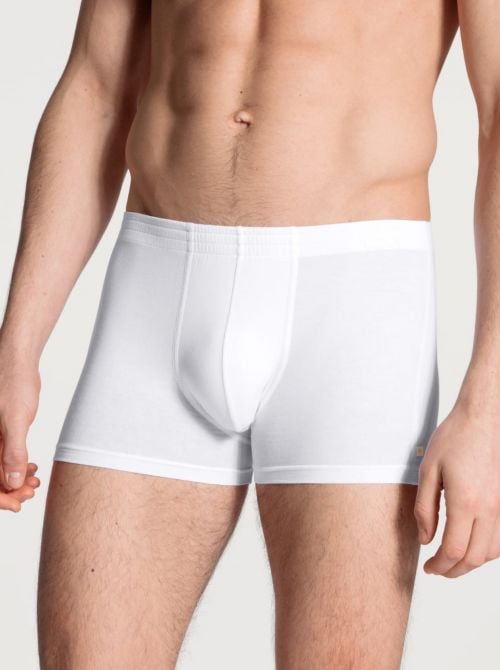 Focus Boxer, white