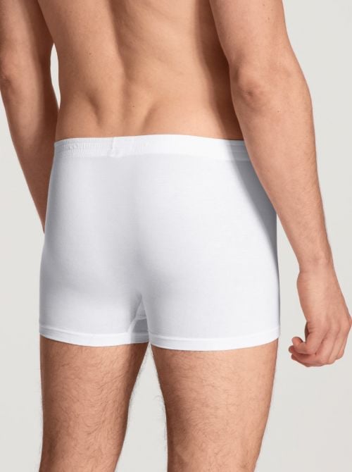 Focus Boxer, bianco